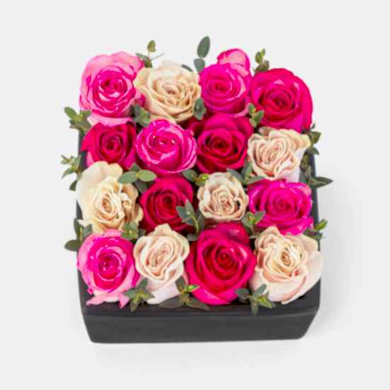 Blushing Rose Garden Just Roses