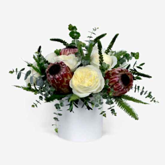 Maeve Proteas