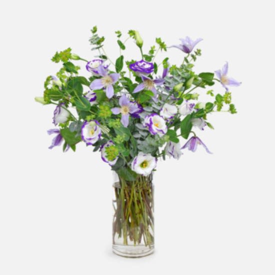 Viola Lisianthus