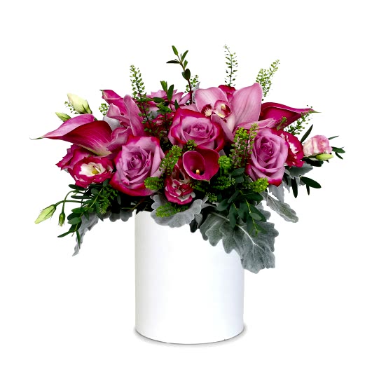 Cerise Lisianthus