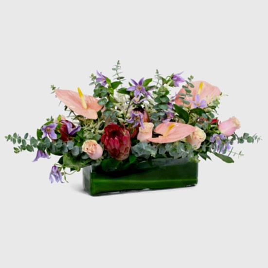 Liliette Proteas