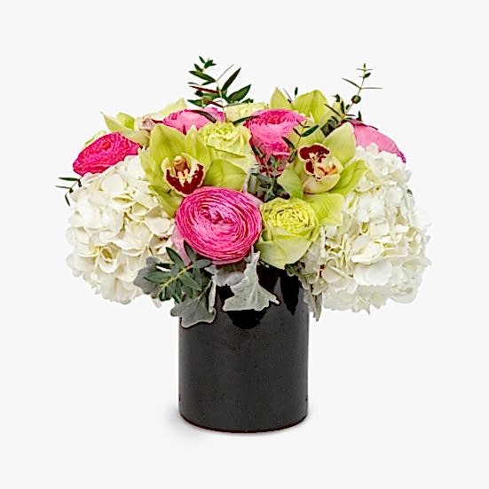 Gemma Hydrangeas