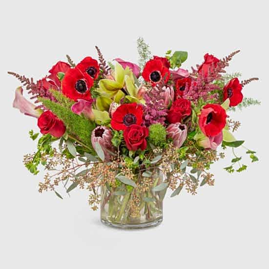 Freya Proteas