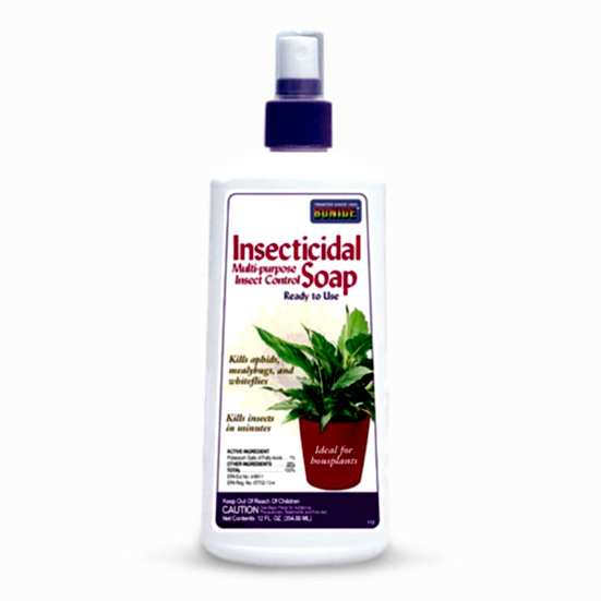Insecticidal Soap Bonide Soil & Chemicals
