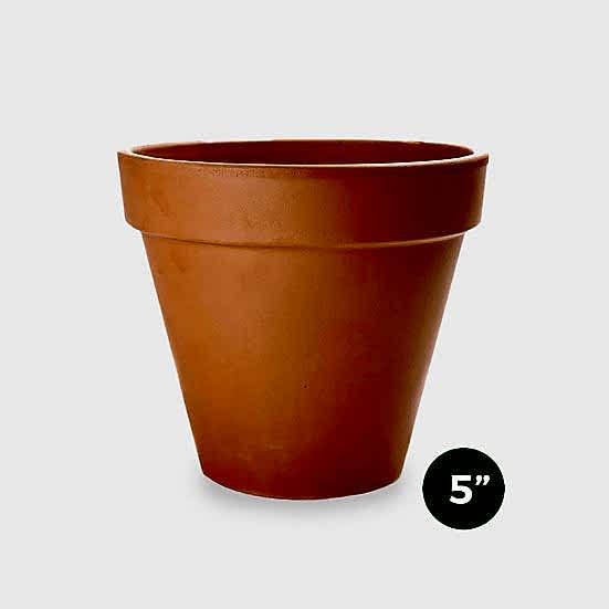 Terra Cotta Pot - 5'' Pottery