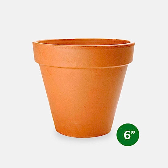 Terra Cotta Pot - 6'' Pottery