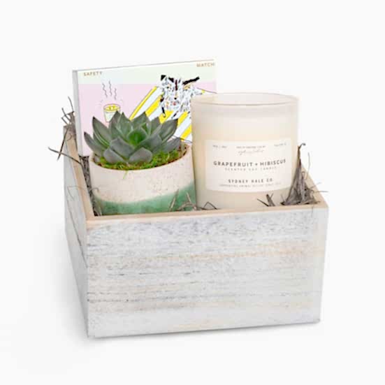 Candle & Succulent Gift Box Gift Sets