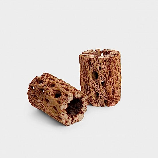 Cholla Wood Stand [pack of 2] Pottery