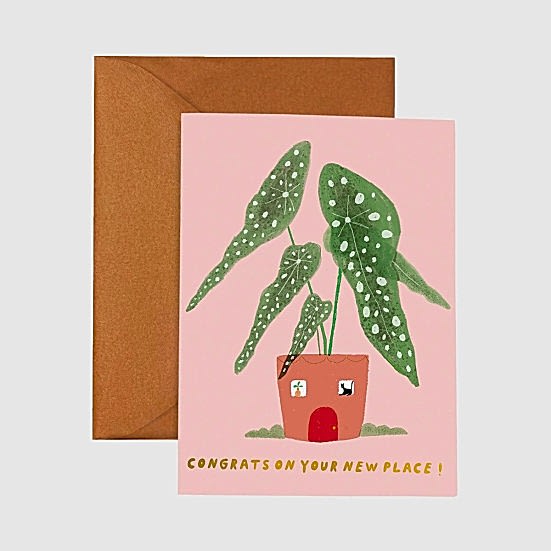 Casita Begonia Congrats Card Housewarming