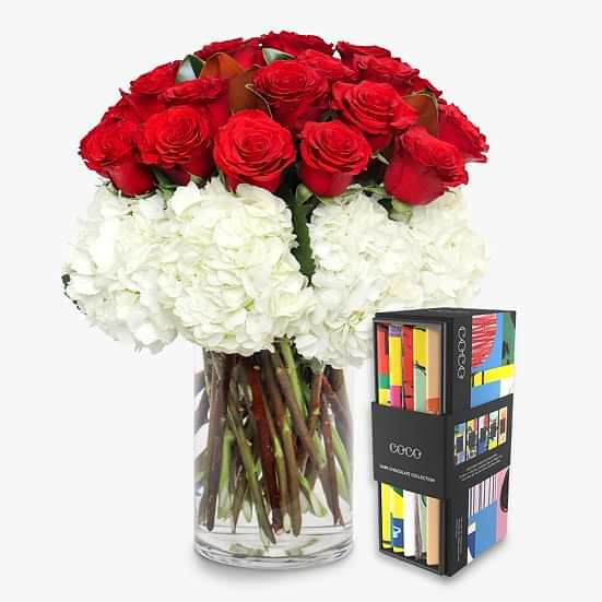 You Are Amazing! + COCO Five Bar Dark Collection Hydrangeas