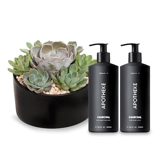 Succulent Dish + Apotheke Bundle Housewarming