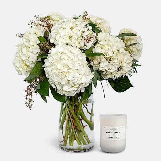 White Hydrangeas + Sydney Hale Candle Hydrangeas