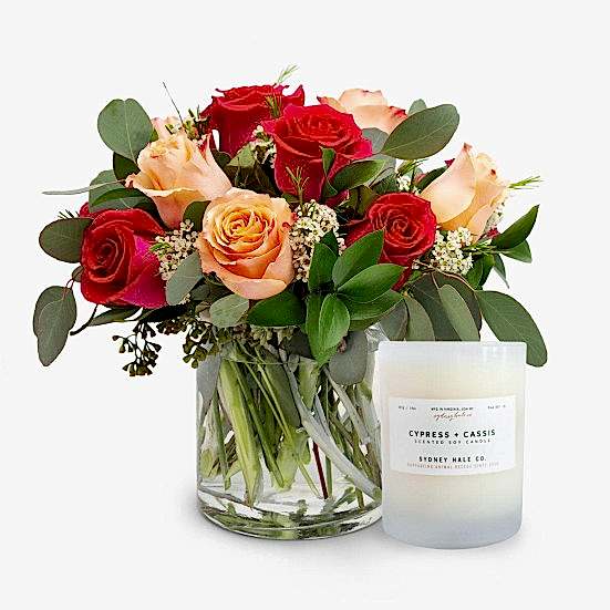 En Provence + Sydney Hale Candle I'm Sorry