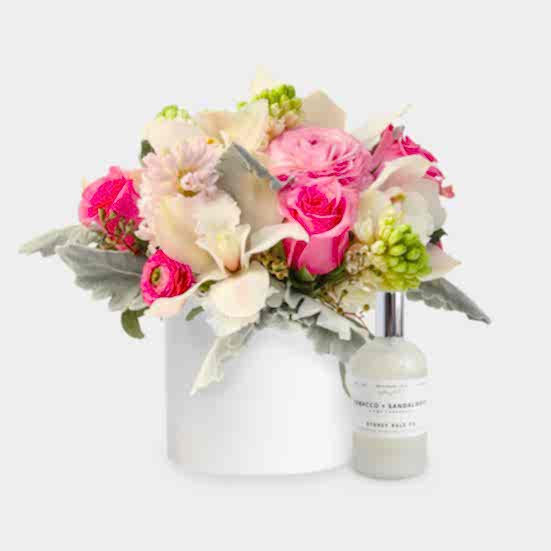 Smitten + Sydney Hale Home Fragrance I'm Sorry