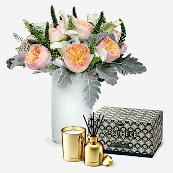 Alodia + Apotheke Mini Duo Luxury Collection