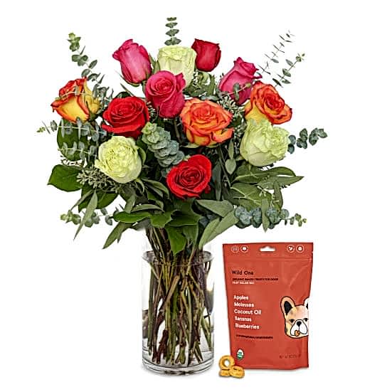 Multicolor Roses + Wild One Fruit Salad Mix Just Because
