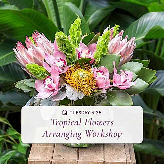 Floral Arranging with Tropical Flowers - Mar 25th Workshops