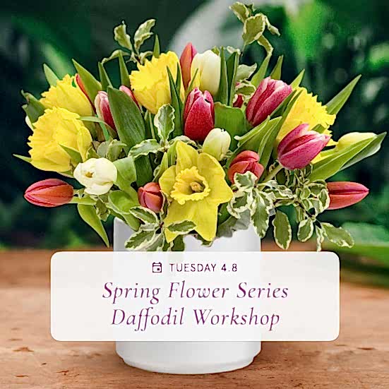 Spring Flower Series: Daffodil Arrangements - Apr 8th Workshops