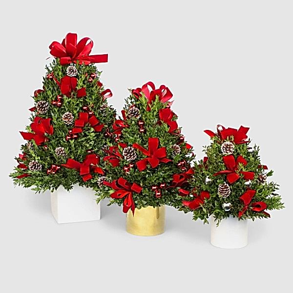 Decorated Boxwood Tree - buymebess.com