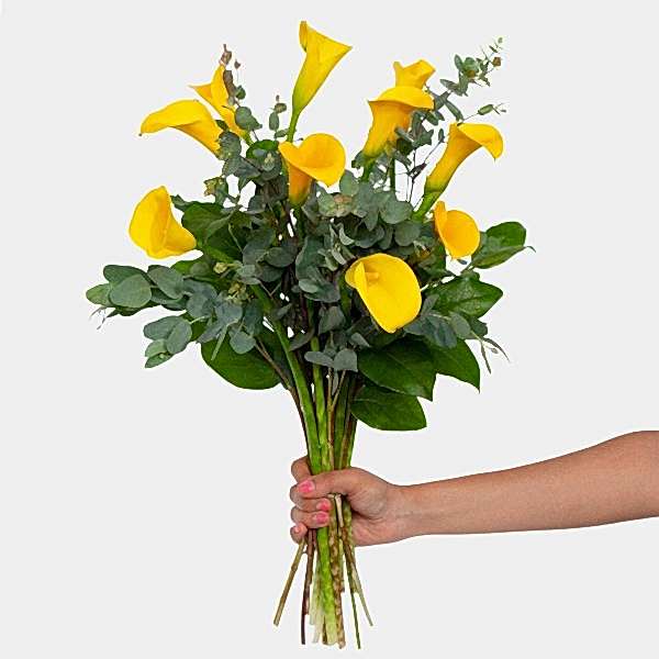 Yellow Calla Lily Bouquet by Plantshed