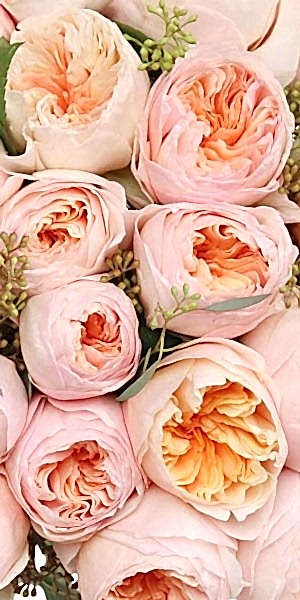 Blush Garden Rose Bouquet