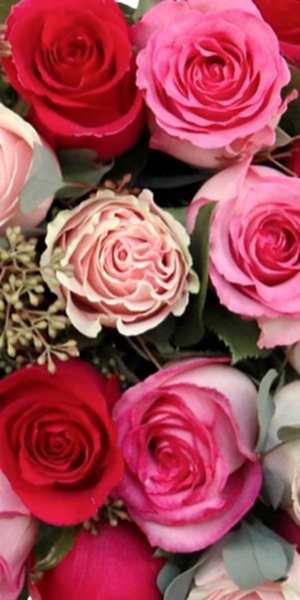 Blushing Pinks Bouquet