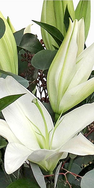 White Lily Bouquet 