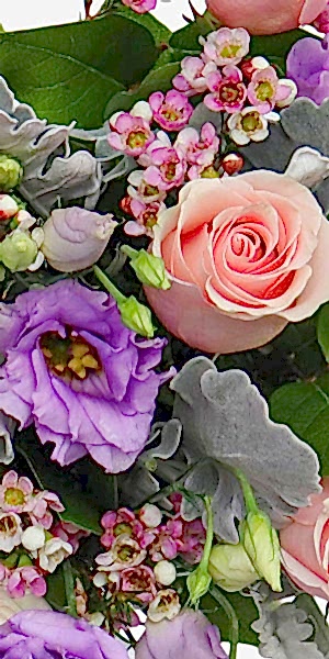 Sophia Bouquet