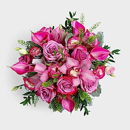 Cerise
