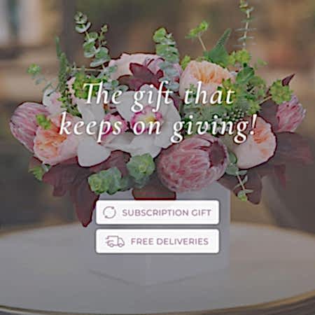 Designer’s Choice Arrangement Subscription