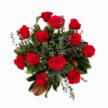 1-Dozen Elegant Roses
