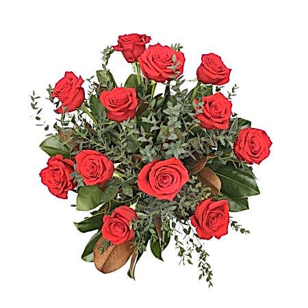 1-Dozen Elegant Roses + Sweetheart Plant