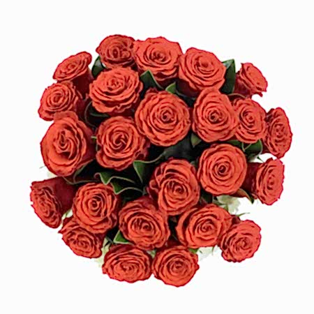 You Are Amazing! + COCO Five Bar Dark Collection