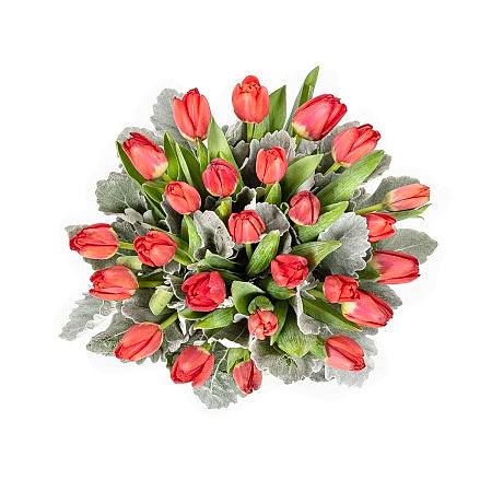 Forever Tulips