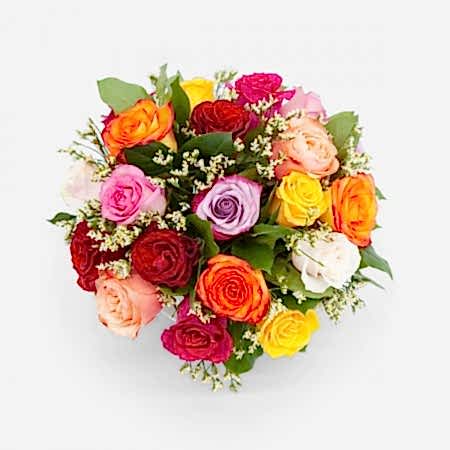 Multicolor Rose Garden 