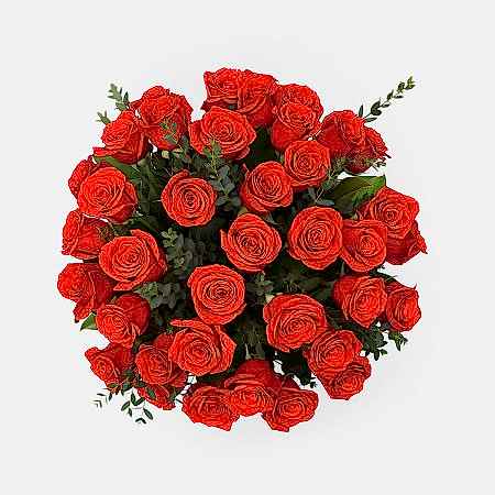 3-Dozen Elegant Roses + Sweetheart Plants