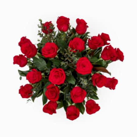 2-Dozen Elegant Roses + Sweetheart Plant