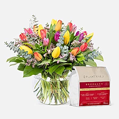 Multicolor Tulip Garden + PlantShed Coffee