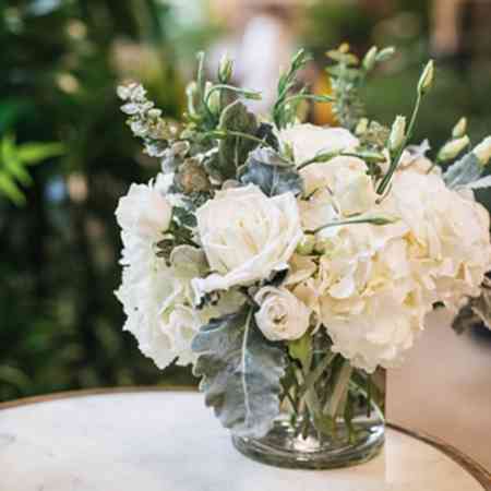 Emily + Apotheke Bundle
