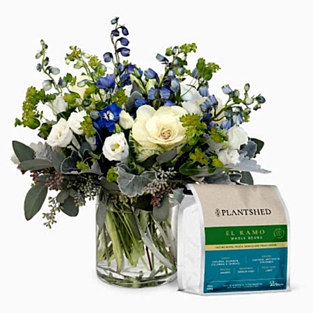 Blue Diamonds + PlantShed Coffee