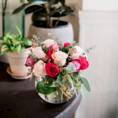 17 Lovely Roses + Apotheke Diffuser