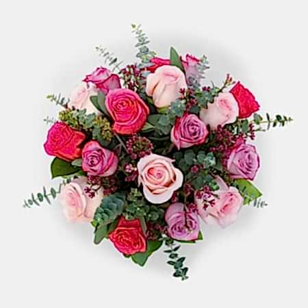 17 Lovely Roses