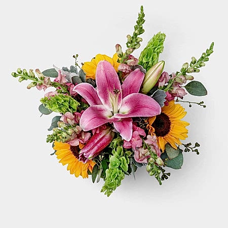 Sweet Season + Apotheke Diffuser