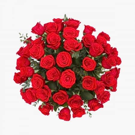 4-Dozen Elegant Roses