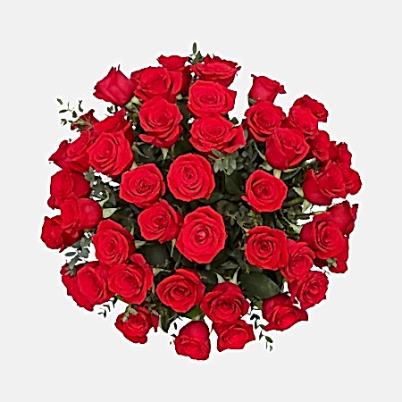 4-Dozen Elegant Roses + Sweetheart Plants