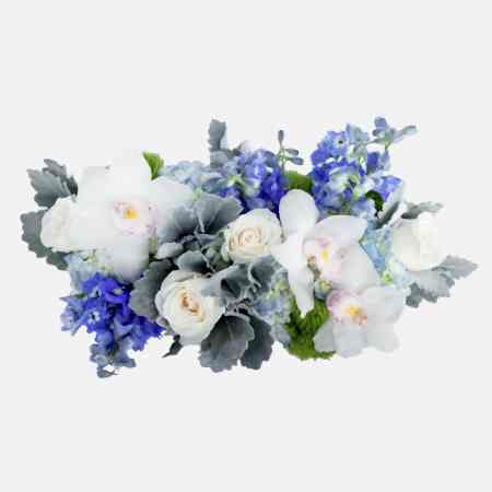 Blue Breeze