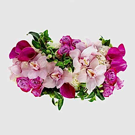 Blush Blossoms 