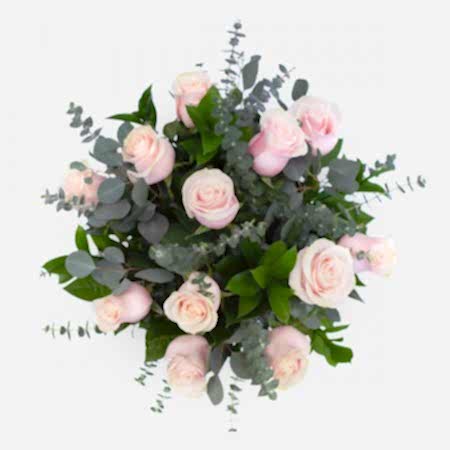 1-Dozen Soft Pink Roses