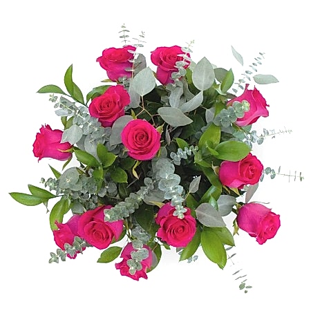 1-Dozen Bright Pink Roses