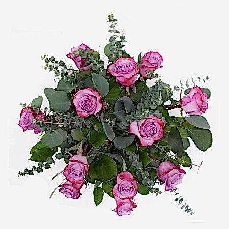 1-Dozen Deep Purple Roses